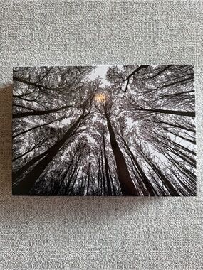 Bgraamiens Forest in Black & White 1000 Piece Puzzle Advanced Challenge